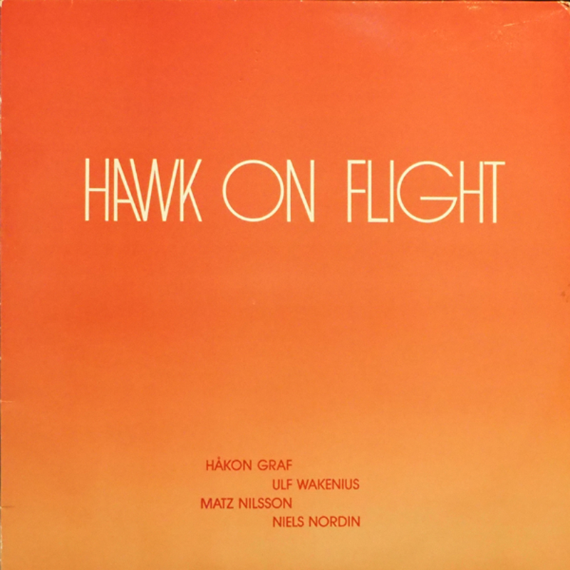Hawk On Flight